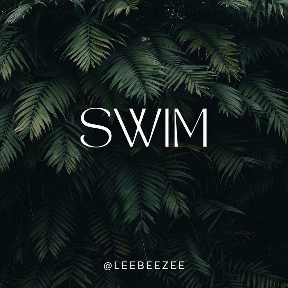 SHOP SWIM!